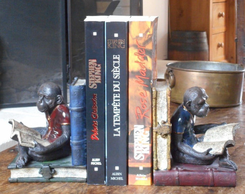 Stephen king rose madder - ,